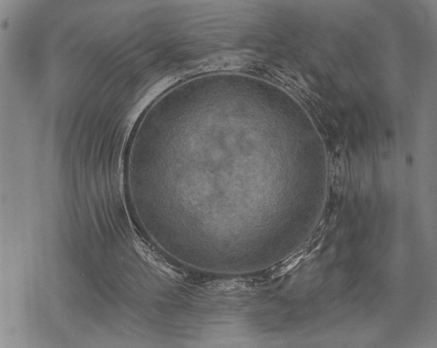 X0000075830100200609221650