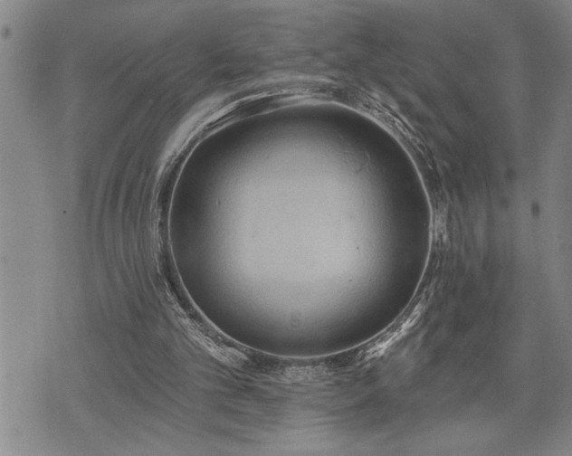 X0000075830101200609221650