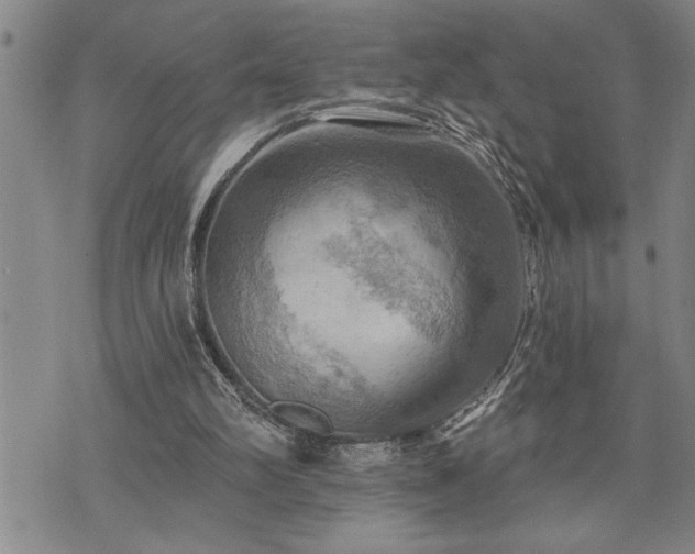 X0000075830102200609221650