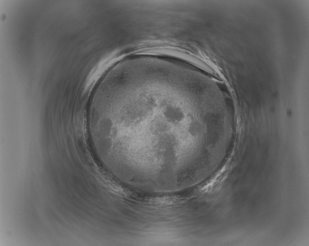 X0000075830103200609221650