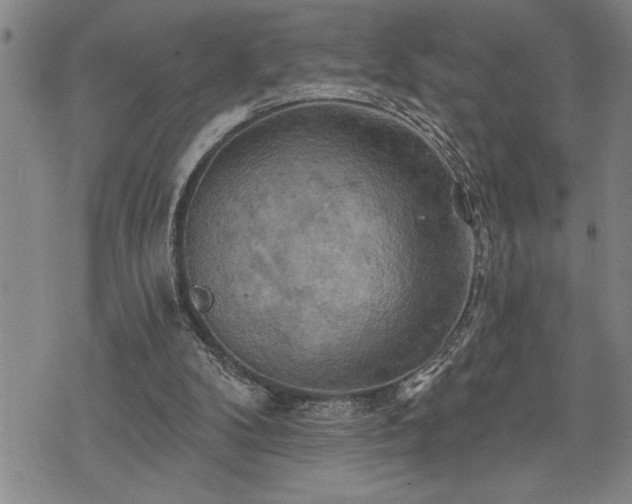 X0000075830104200609221650