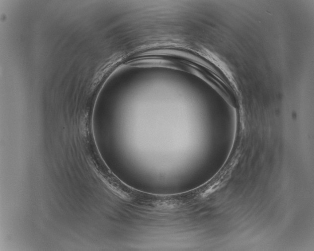 X0000075830105200609221650