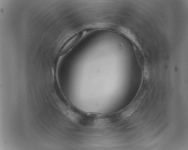 X0000075830109200609221650