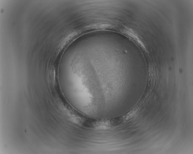 X0000075830110200609221650