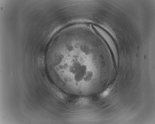 X0000075830111200609221650