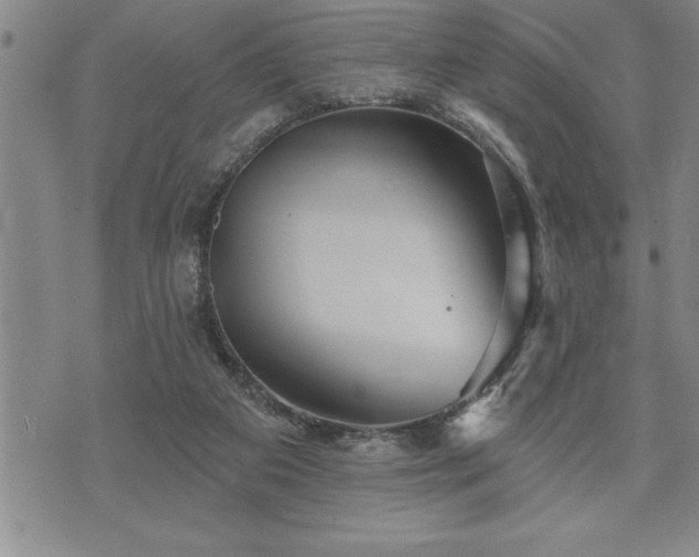 X0000075830113200609221650