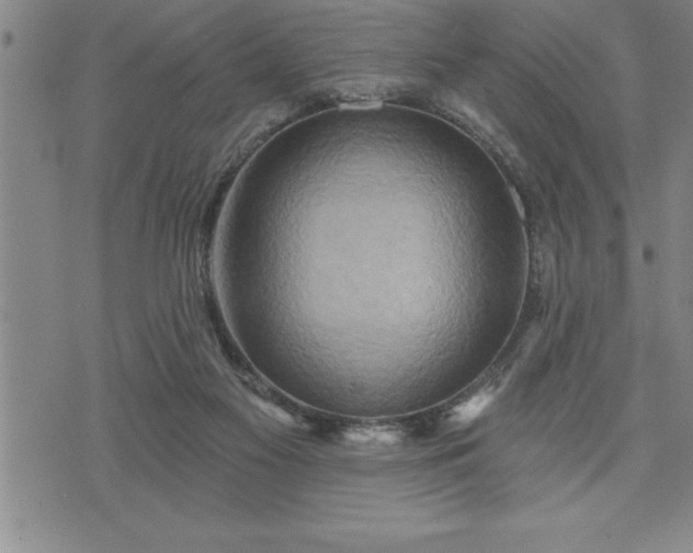 X0000075830117200609221650