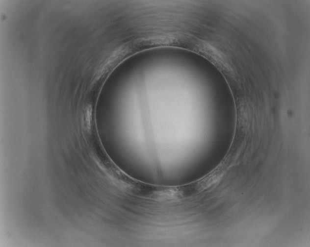 X0000075830118200609221650