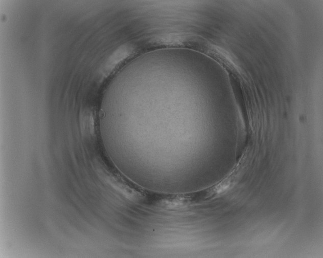 X0000075830120200609221649