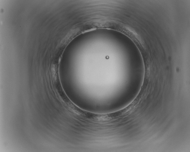 X0000075830121200609221649