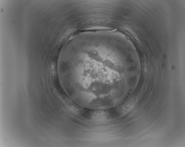 X0000075830123200609221649