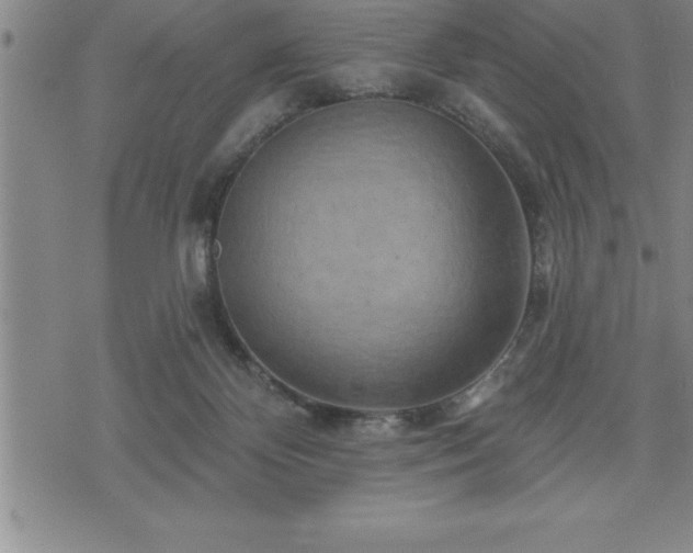 X0000075830124200609221649