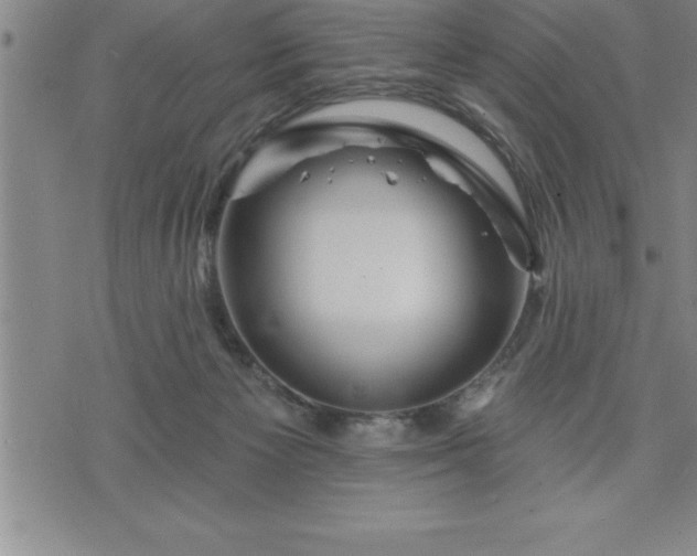 X0000075830125200609221649