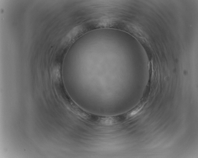 X0000075830127200609221649