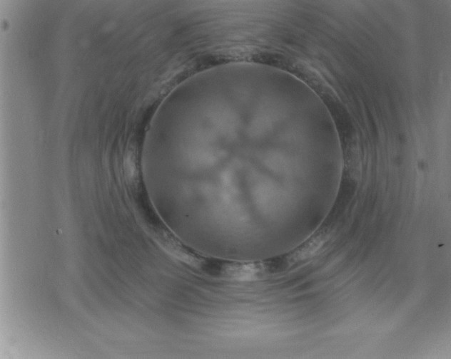 X0000075830131200609221649