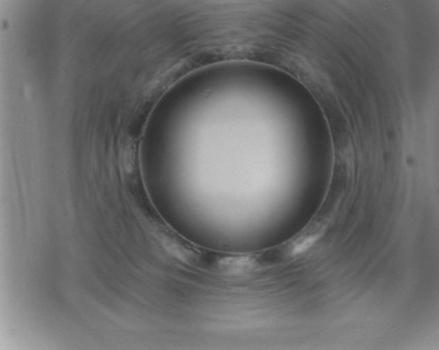 X0000075830133200609221649