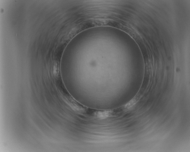 X0000075830134200609221649