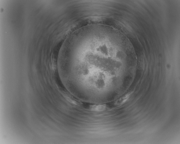 X0000075830135200609221649