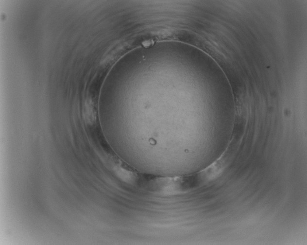 X0000075830136200609221649