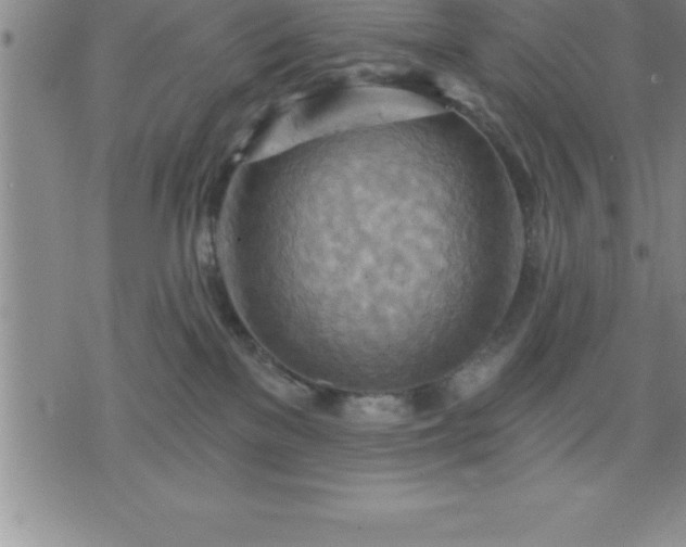 X0000075830137200609221649