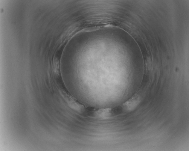 X0000075830138200609221649