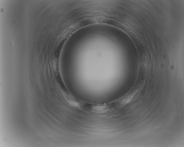 X0000075830139200609221649