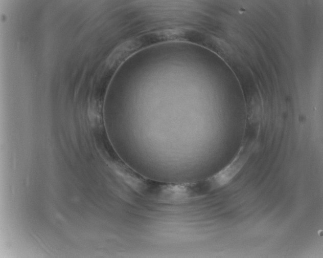 X0000075830140200609221649