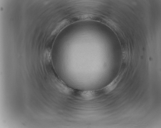 X0000075830142200609221649