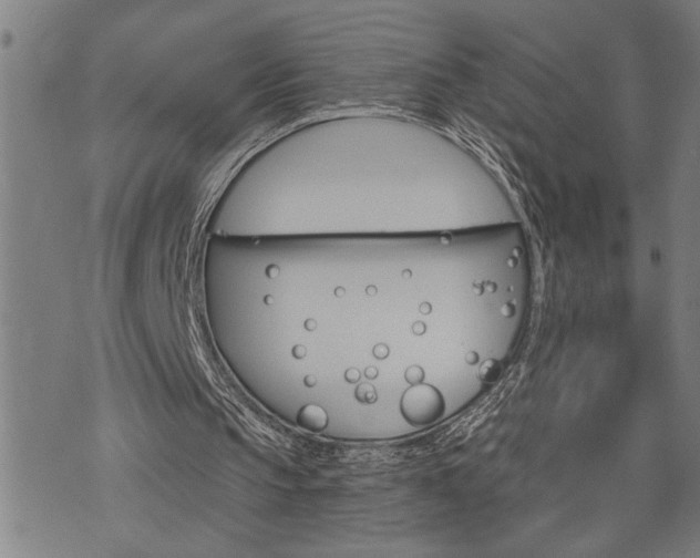 X0000075830145200609221648