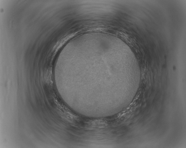 X0000075830146200609221648