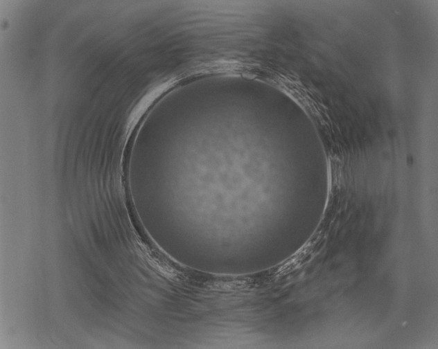 X0000075830147200609221648