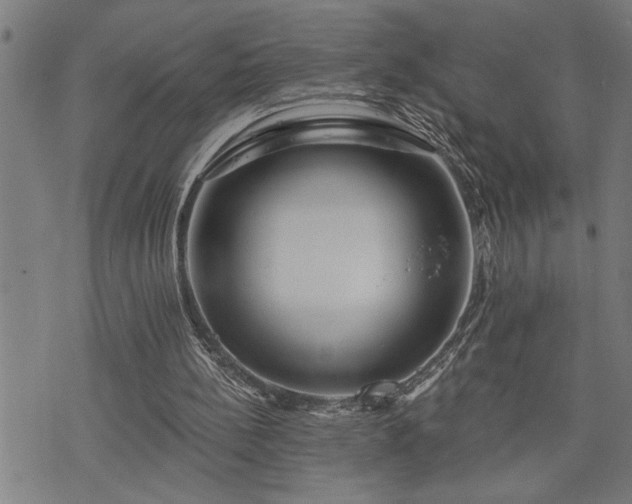 X0000075830148200609221648