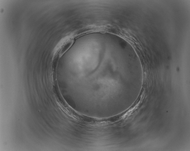 X0000075830149200609221648