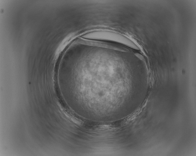 X0000075830151200609221648