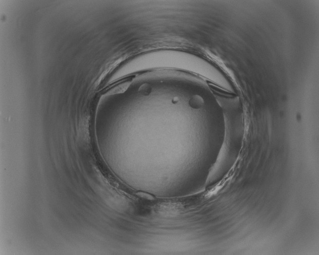 X0000075830154200609221648