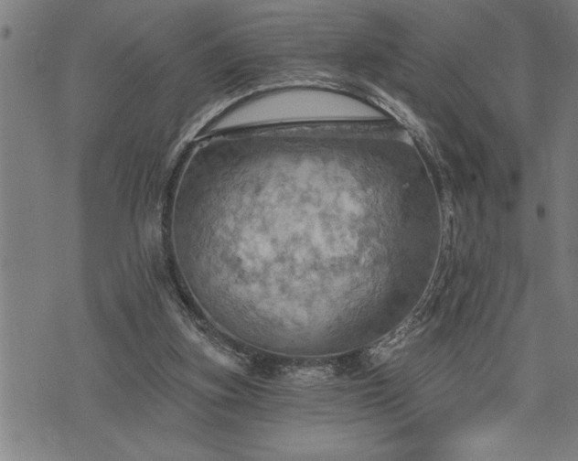 X0000075830155200609221648