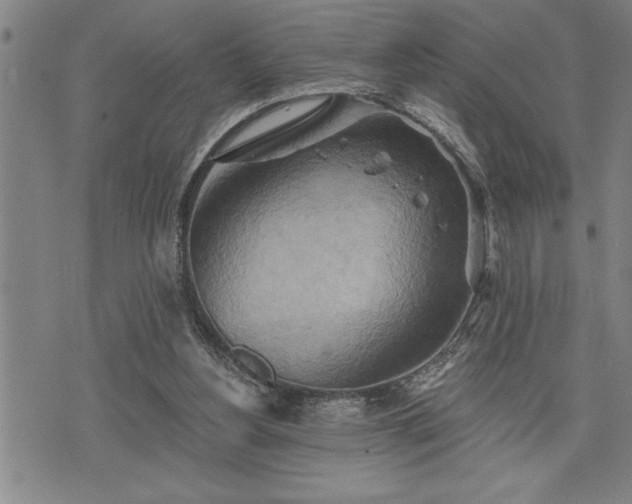 X0000075830156200609221648