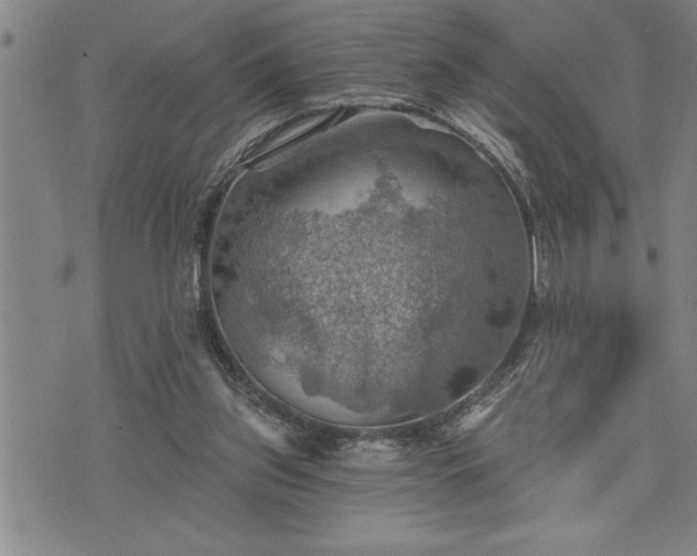 X0000075830157200609221649