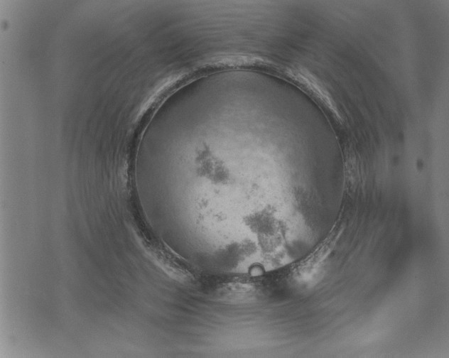 X0000075830159200609221649