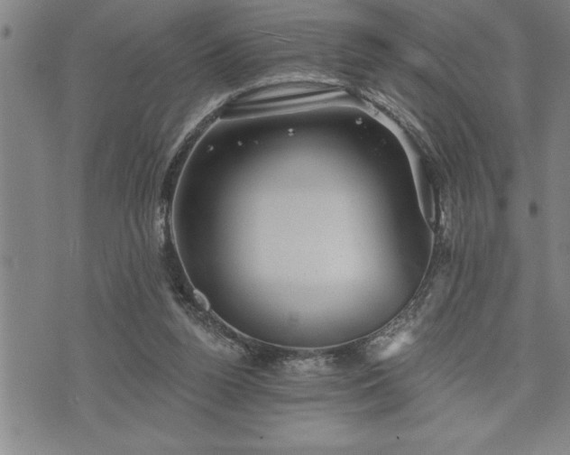 X0000075830160200609221649