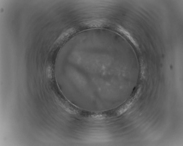 X0000075830161200609221649