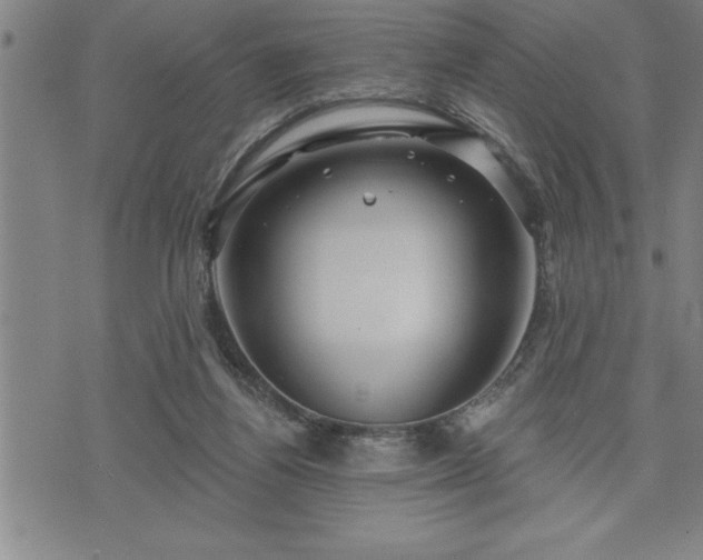 X0000075830164200609221649