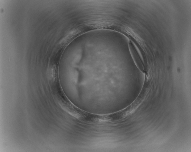 X0000075830165200609221649