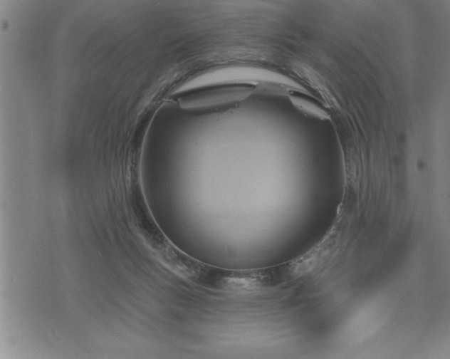 X0000075830167200609221649