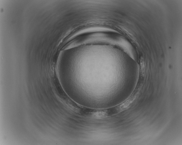 X0000075830168200609221649