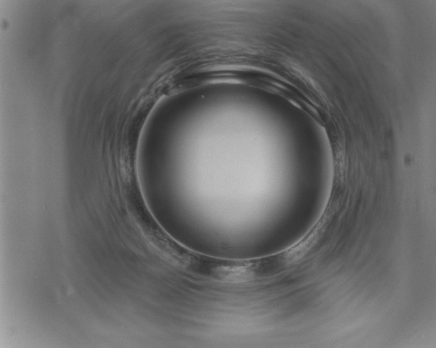 X0000075830170200609221649