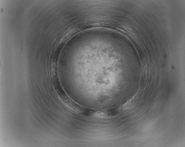 X0000075830171200609221649