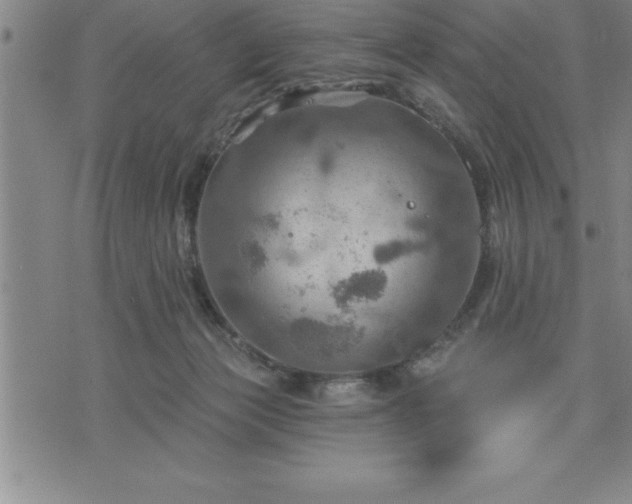 X0000075830173200609221649