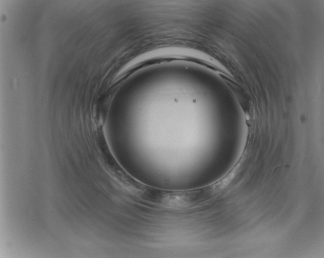 X0000075830174200609221649