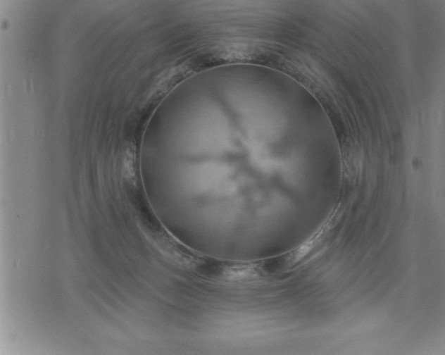 X0000075830175200609221649